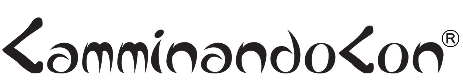camminandocon.com