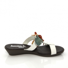 BOXER mules