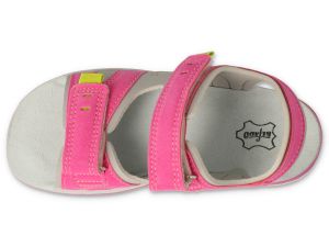 BEFADO PAPI 242P088