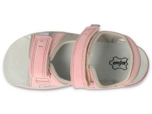 BEFADO PAPI 242P088