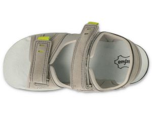 BEFADO PAPI 242P088