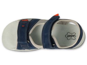 BEFADO PAPI 242P088