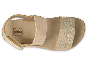 BEFADO PAPI 242P088