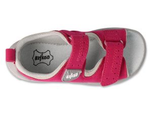 BEFADO PAPI 242P088