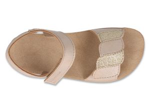 BEFADO PAPI 242P088