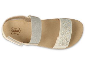 BEFADO PAPI 242P088