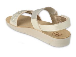 BEFADO PAPI 242P088