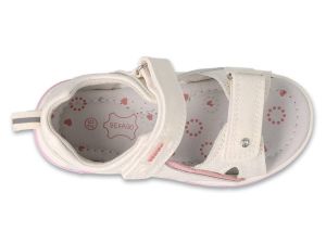 BEFADO PAPI 242P088