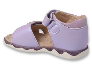 BEFADO PAPI 242P088