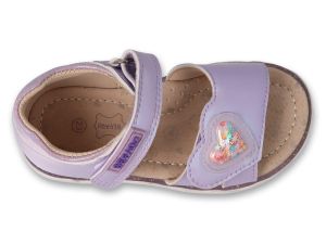 BEFADO PAPI 242P088