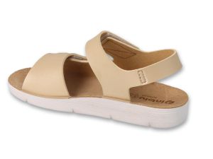 BEFADO PAPI 242P088