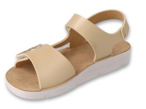 BEFADO PAPI 242P088