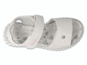 BEFADO PAPI 242P088