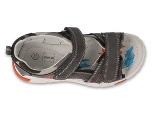 BEFADO PAPI 242P088