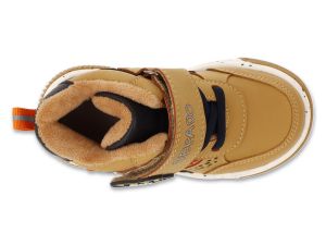 BEFADO PAPI 242P088
