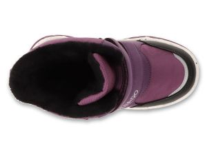 BEFADO PAPI 242P088